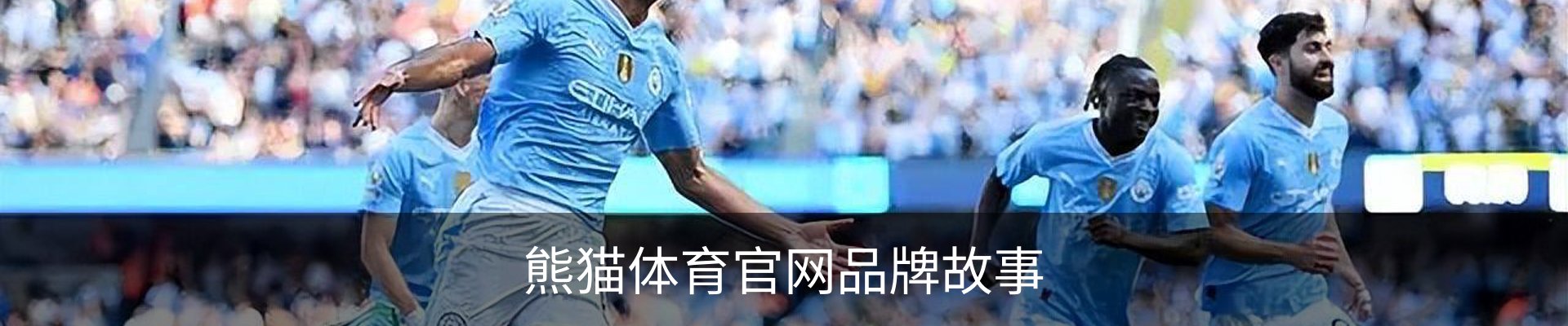 熊猫体育官网品牌故事